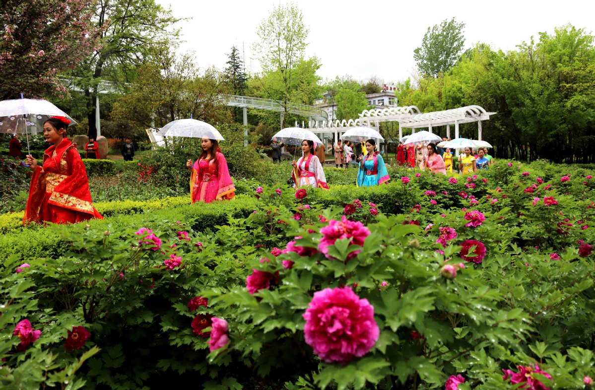 The Luoyang Peony Festival